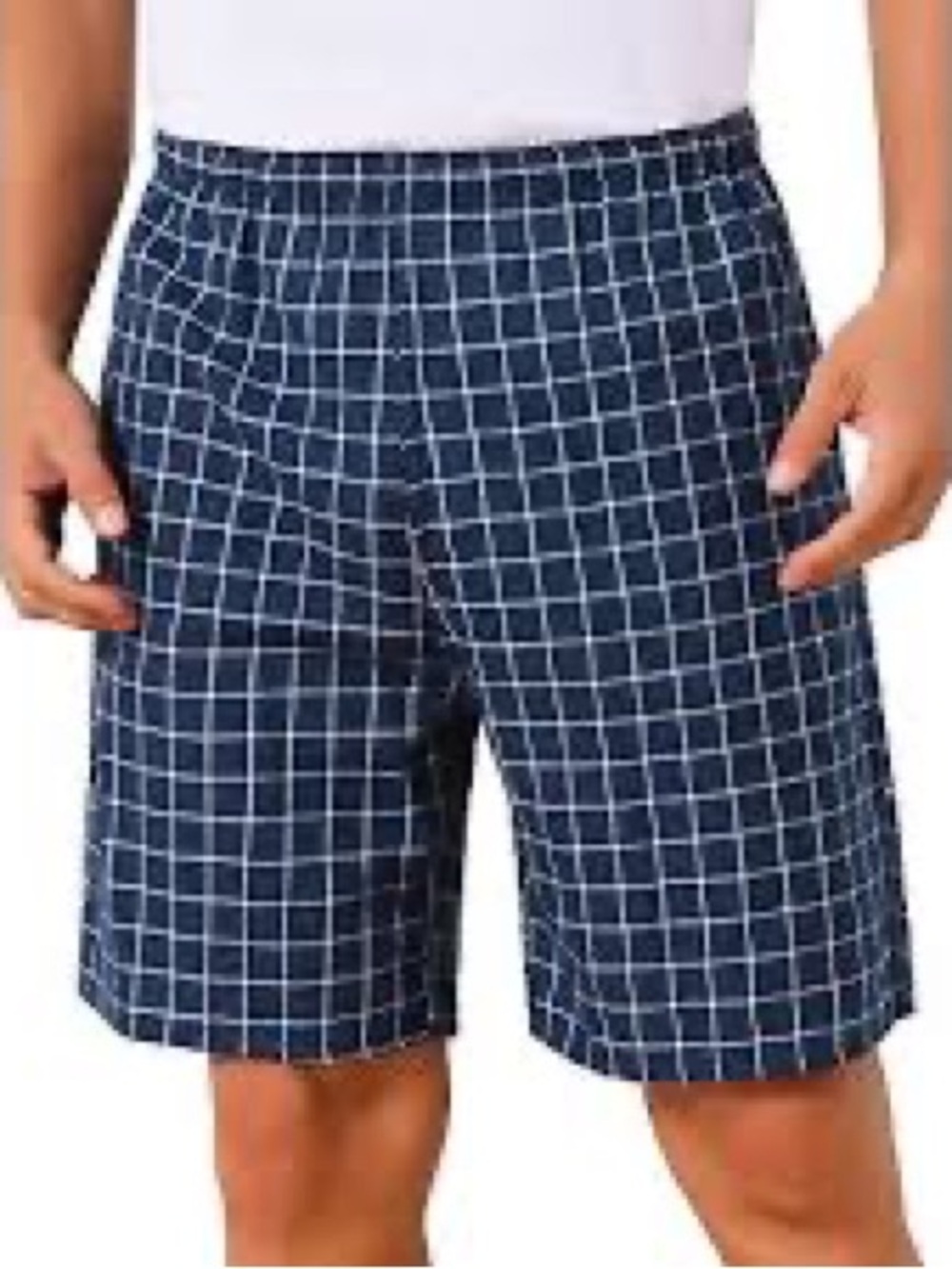 Brooks Brothers Blue Check Windowpane Cotton Chino Shorts